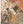 Charger l&#39;image dans la galerie, Copie de The Art of Davor Gromilovic -  Édition collector limitée à 200 exemplaires
